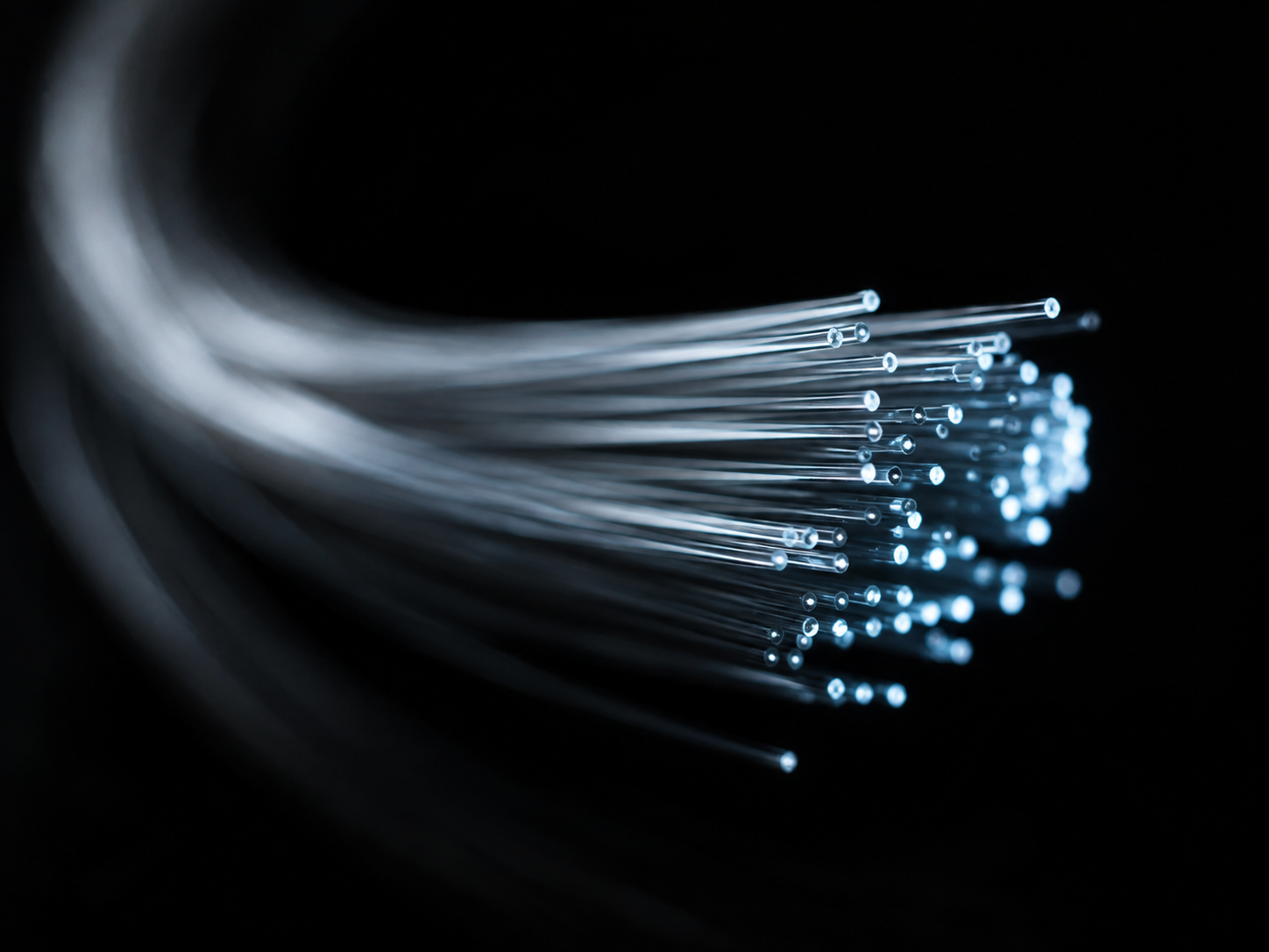 Networking, connectivity and SASE specialism