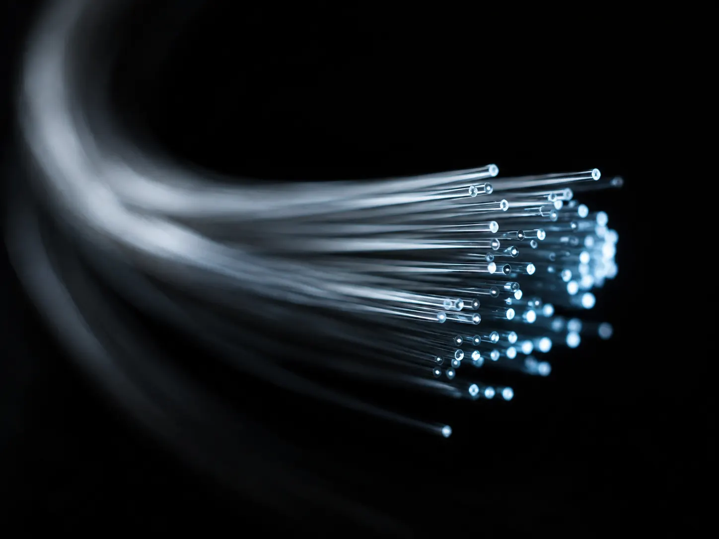 Networking, connectivity and SASE specialism